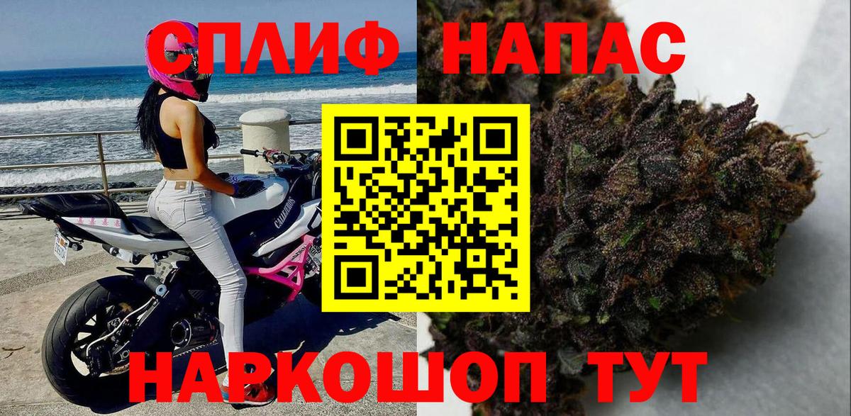 Каннабис OG Kush  Марихуана гибрид  Каннабис семена  Вход с VPN  МАРИХУАНА MAZAR  Касимов 